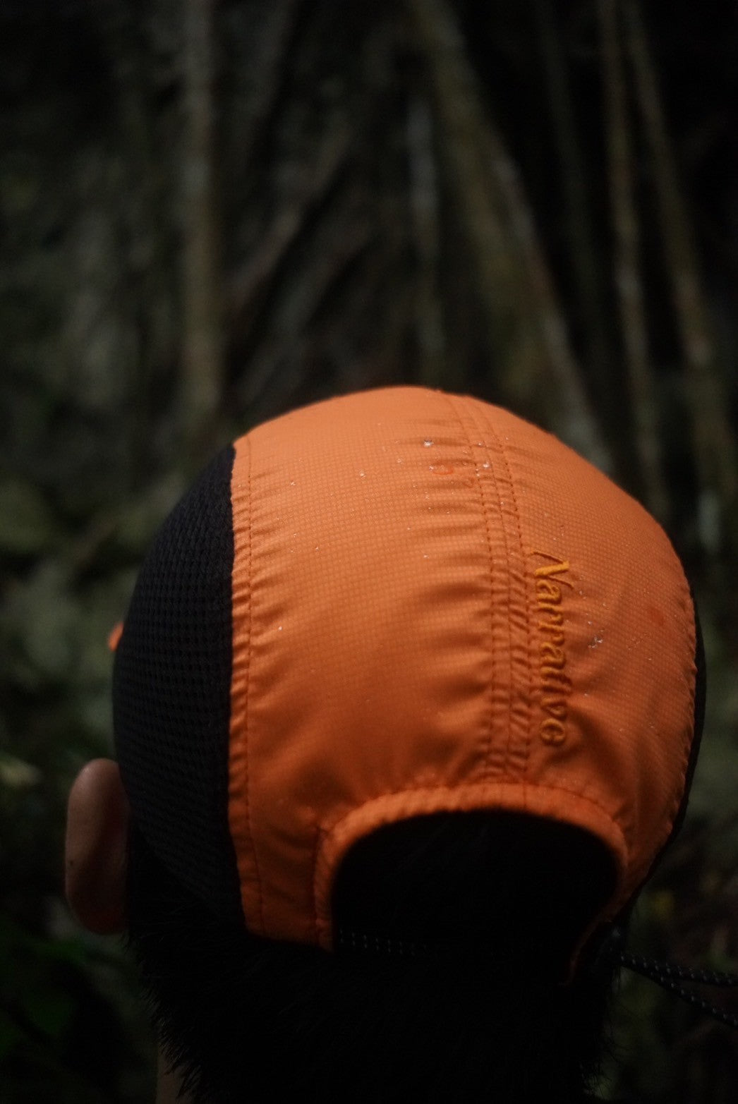 Narrative "D.B Cap"