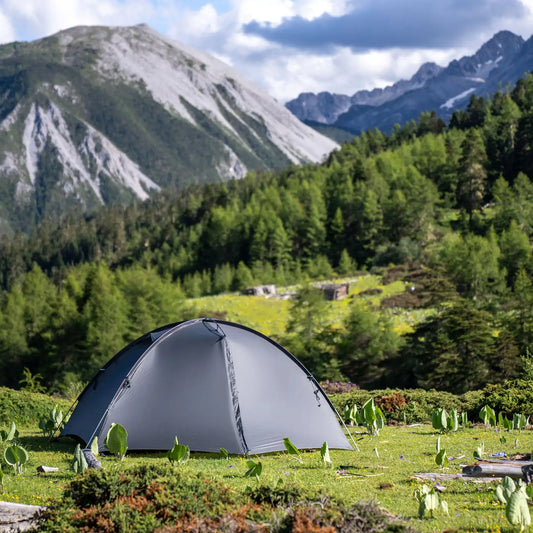 THE FREE SPIRITS / STARS 2