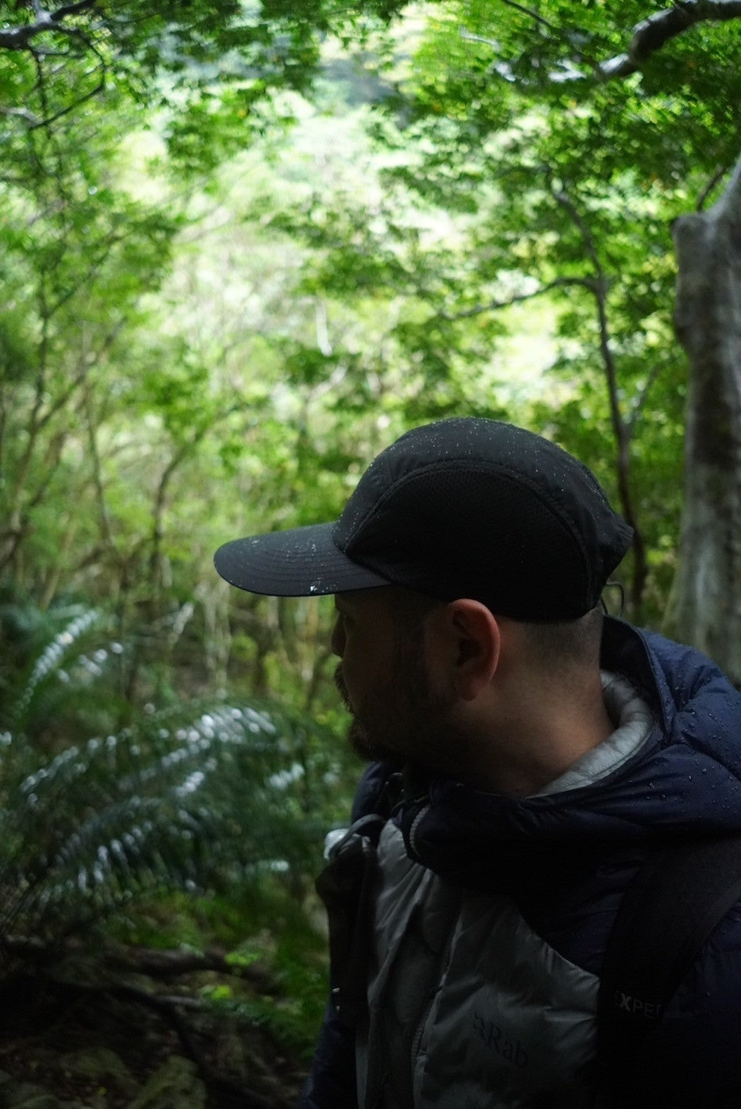 Narrative "D.B Cap"