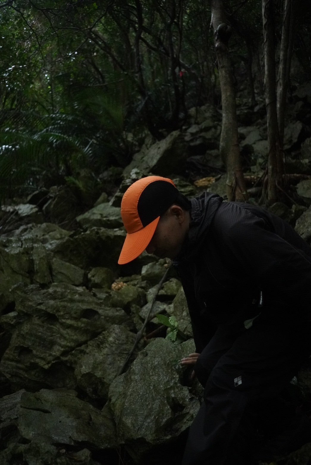 Narrative "D.B Cap"