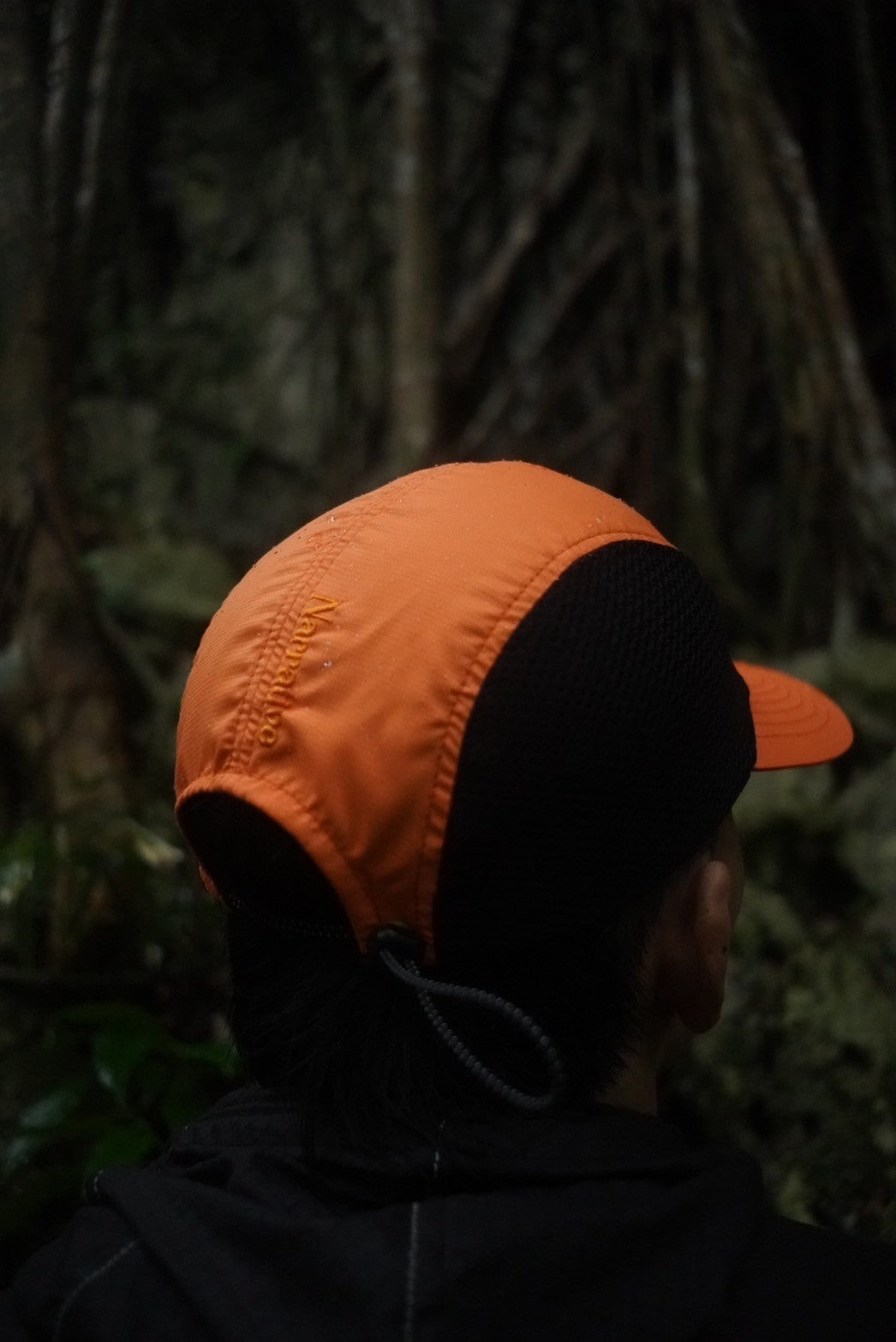 Narrative "D.B Cap"