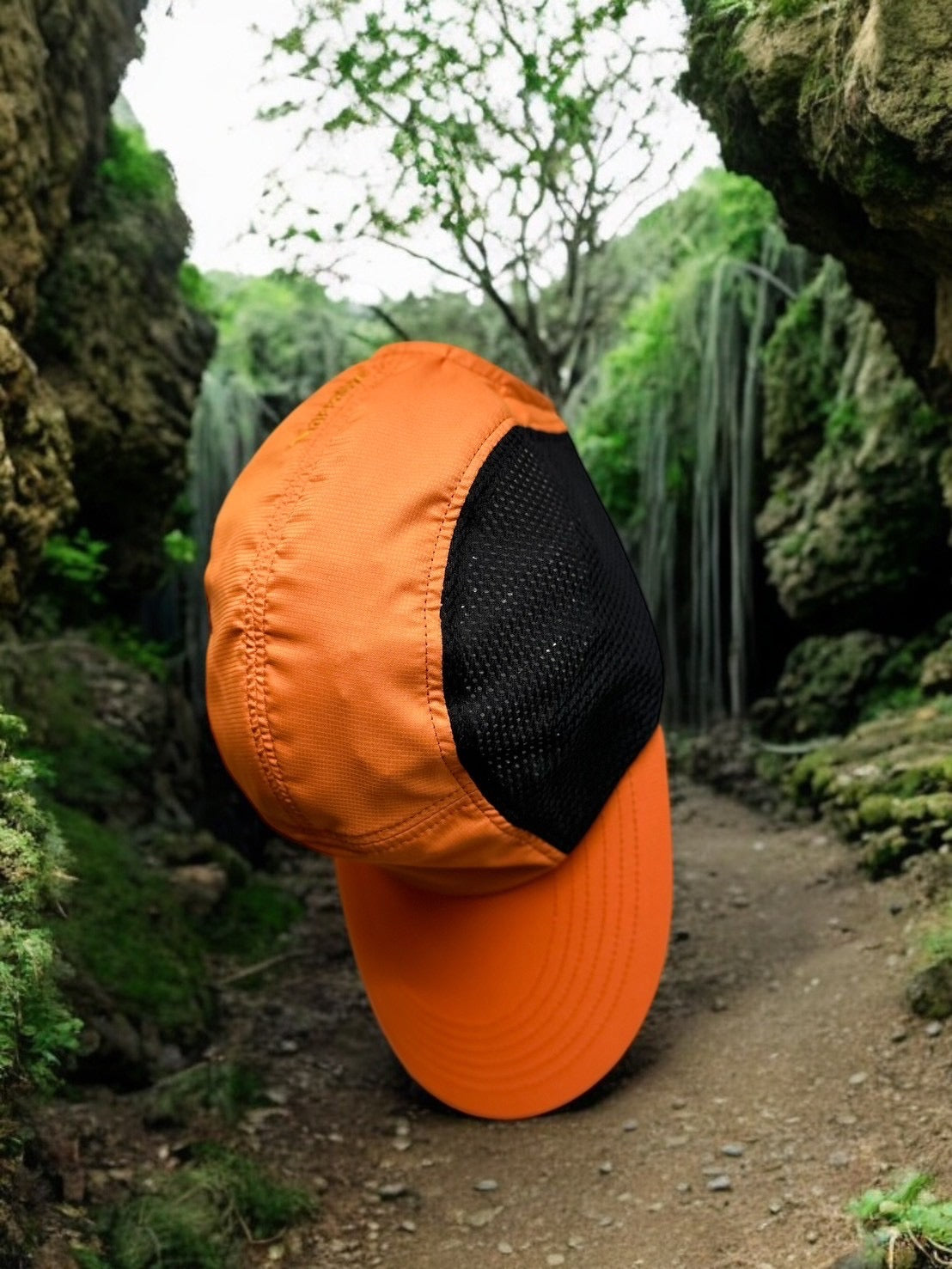 Narrative "D.B Cap"