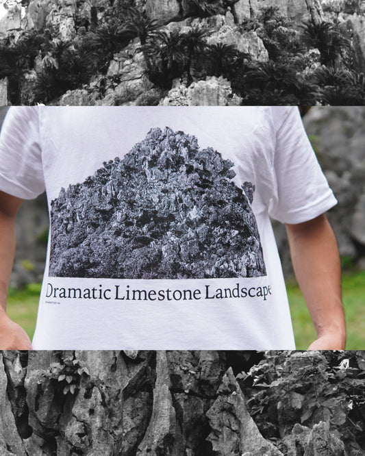 Narrative Originals / D.L.L 26 S/S Cotton Tee
